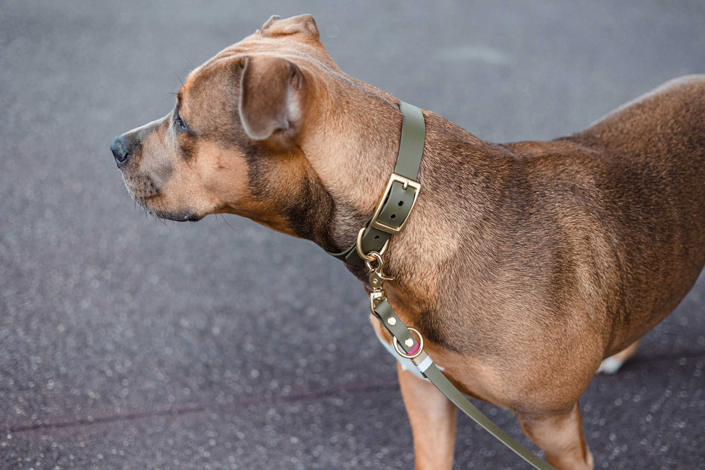 Knoten "Olive"