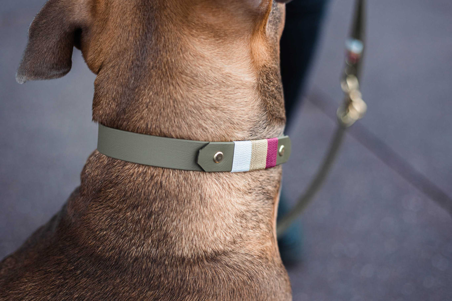 Knoten "Olive"